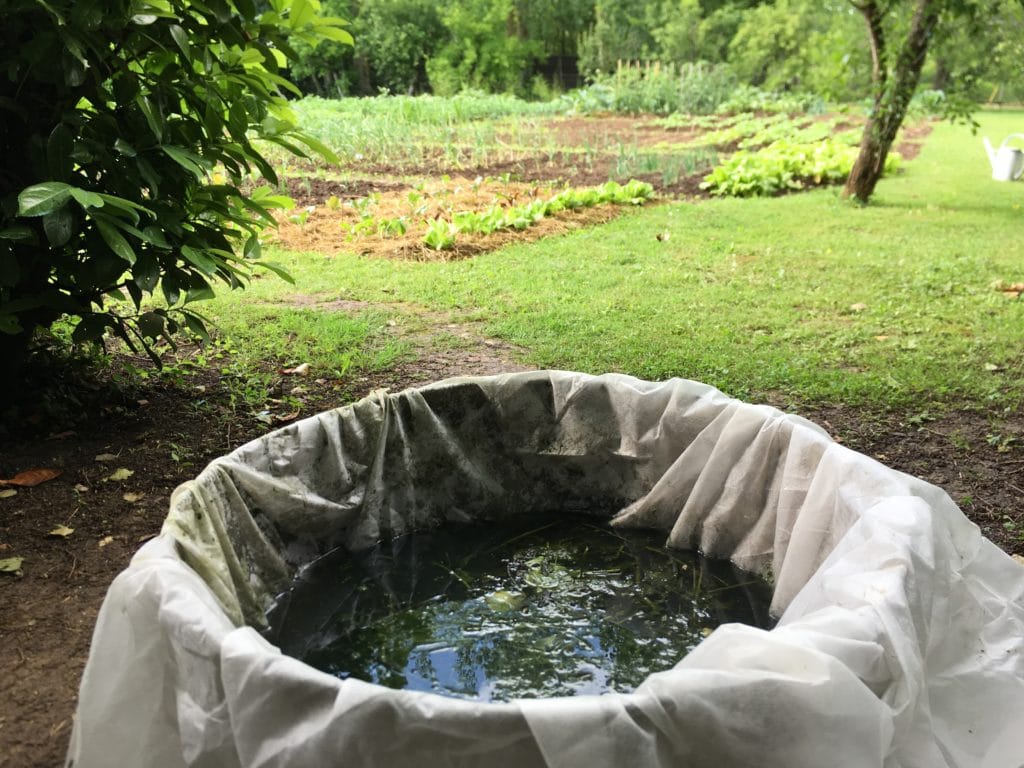 Macération du purin d'ortie dans une grande bassine.