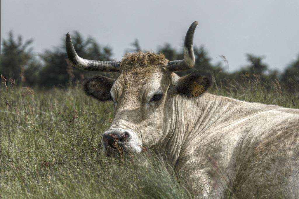 FB_IMG_1535276663830