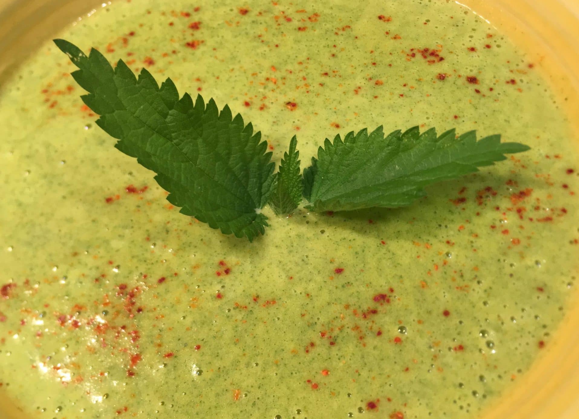 Jamais la nuit d'Halloween n'aura été aussi douce... / Un jardin dans le marais poitevin.
