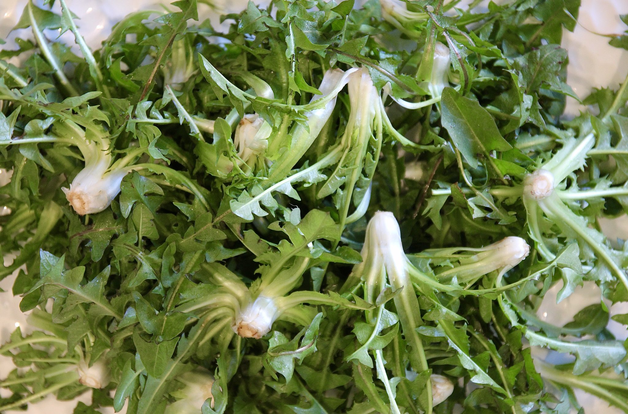 À la table du jardin.